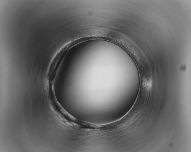 X0000097920676200803211528