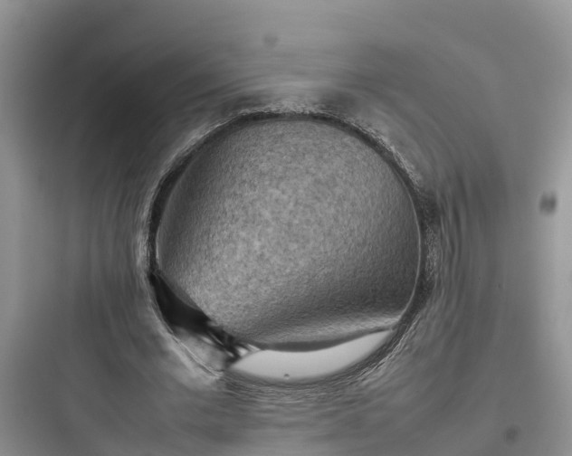 X0000097920677200803211528