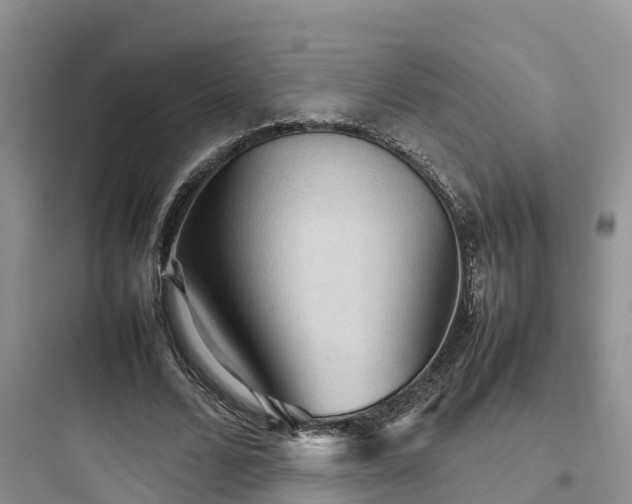 X0000097920680200803211528