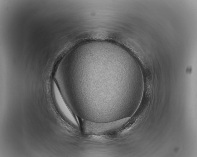 X0000097920681200803211528