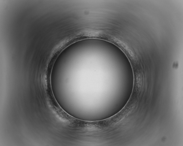 X0000097920682200803211528