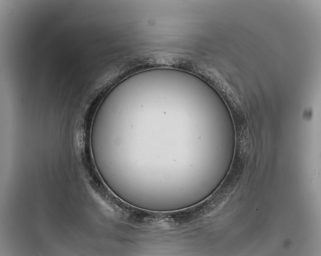 X0000097920683200803211528