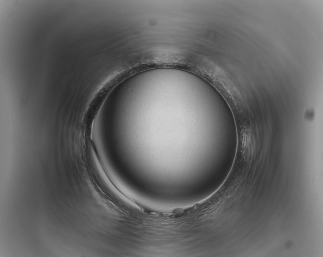 X0000097920684200803211528