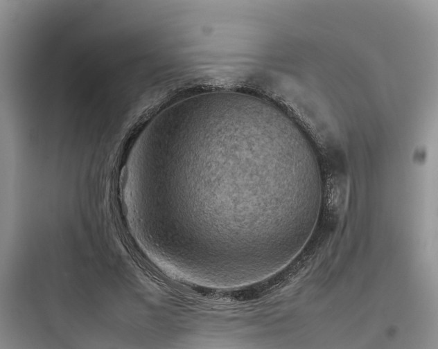 X0000097920685200803211528
