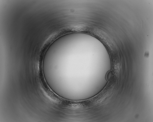 X0000097920686200803211528