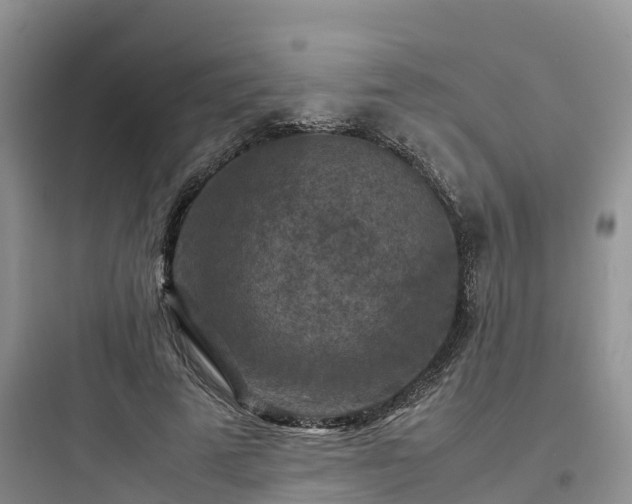 X0000097920689200803211528