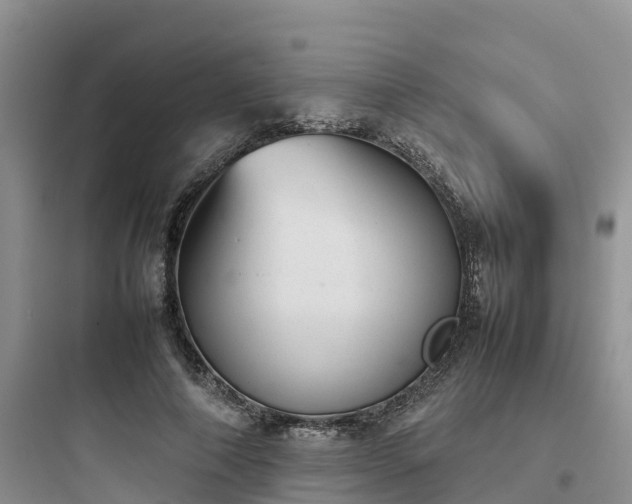 X0000097920690200803211528