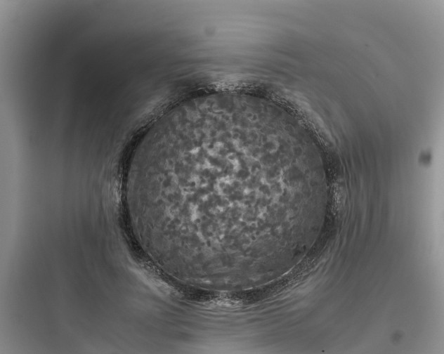X0000097920691200803211528