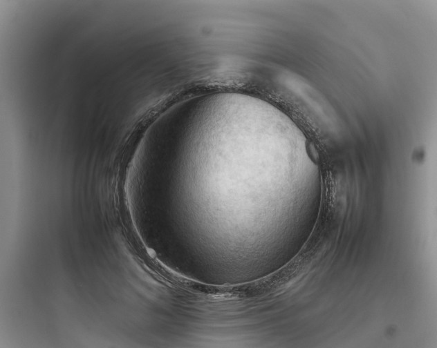 X0000097920692200803211528