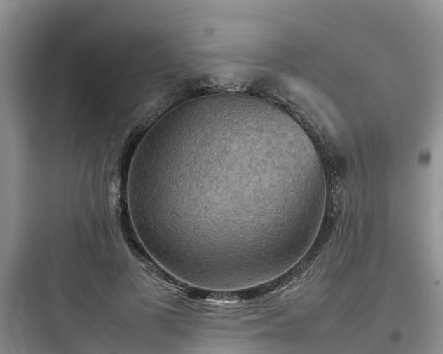 X0000097920693200803211528