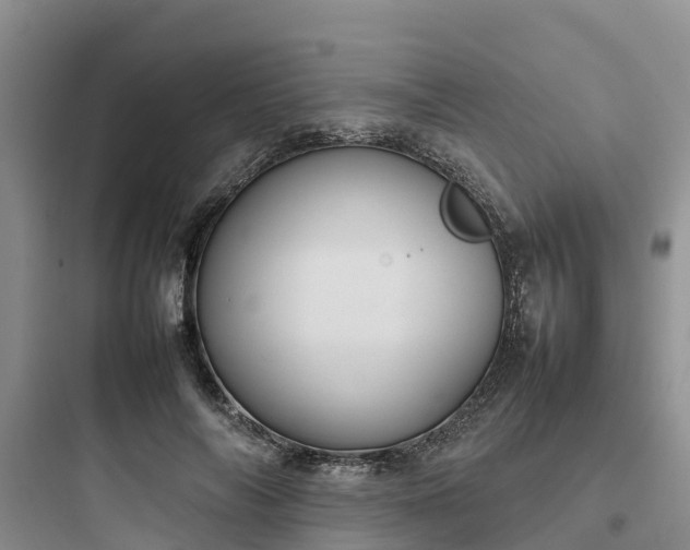 X0000097920694200803211527