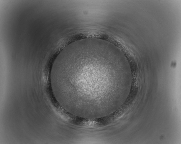X0000097920695200803211527