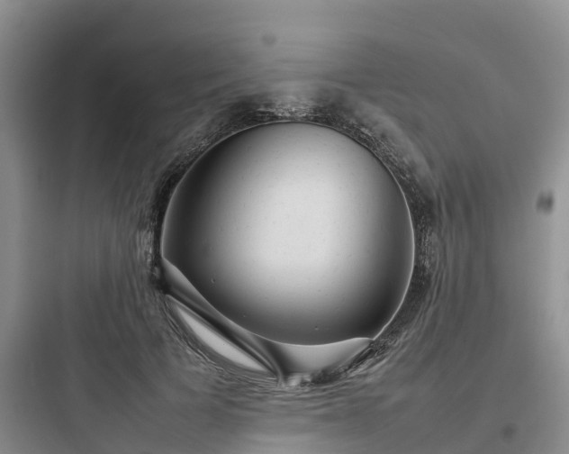 X0000097920697200803211527