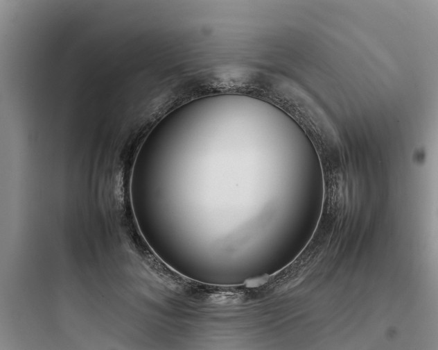 X0000097920700200803211527