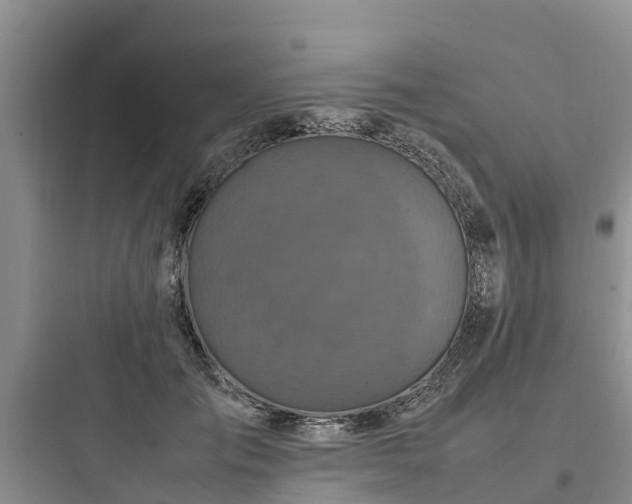 X0000097920701200803211527