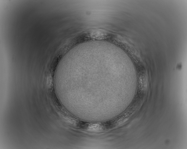 X0000097920705200803211527