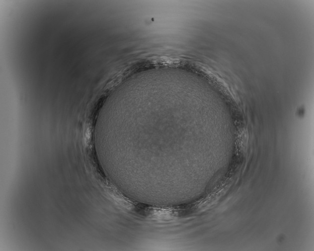 X0000097920709200803211527