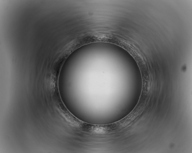 X0000097920710200803211527