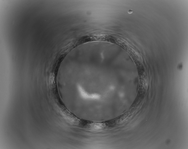 X0000097920711200803211527