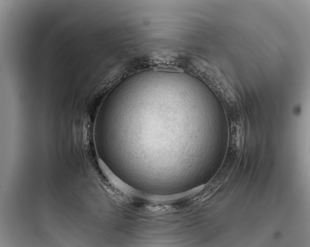X0000097920712200803211527