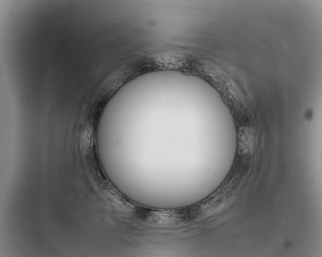 X0000097920713200803211527
