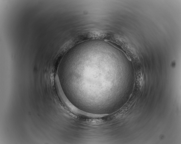 X0000097920716200803211527
