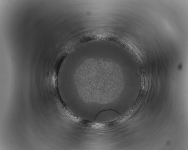 X0000097920718200803211527