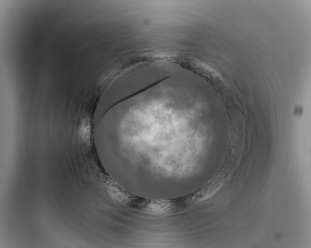 X0000097920720200803211527