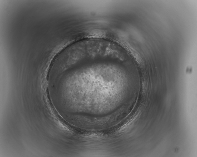 X0000097920721200803211526