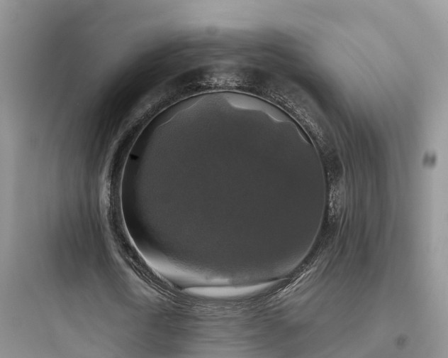 X0000097920722200803211526