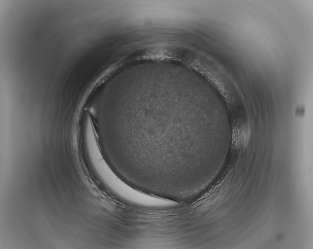 X0000097920724200803211527