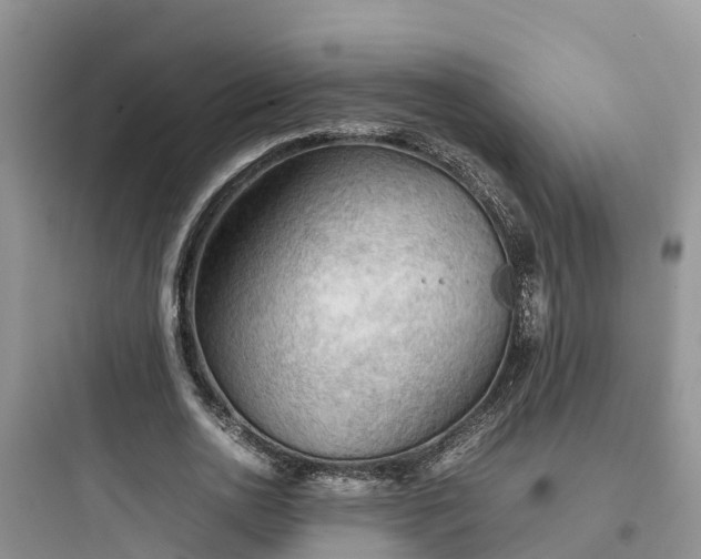 X0000097920726200803211527