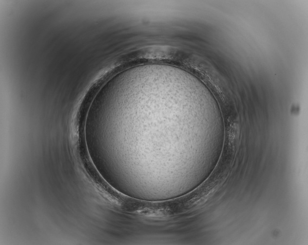 X0000097920727200803211527