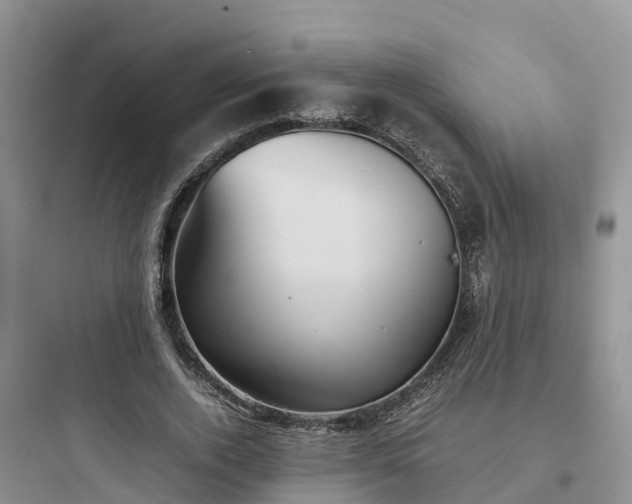 X0000097920728200803211527