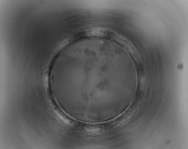 X0000097920729200803211527