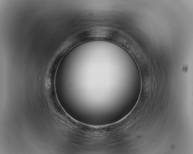 X0000097920731200803211527
