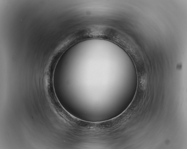 X0000097920732200803211527