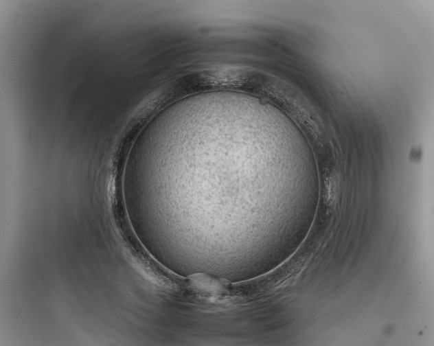 X0000097920733200803211527