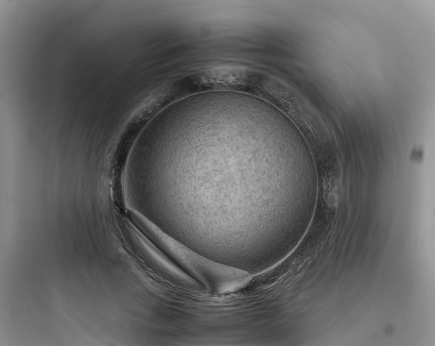 X0000097920735200803211527