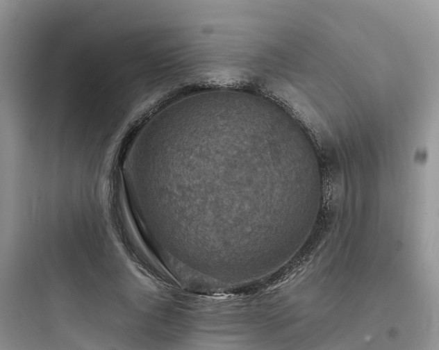 X0000097920736200803211527