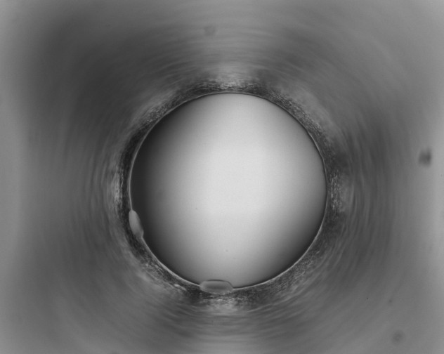 X0000097920740200803211527