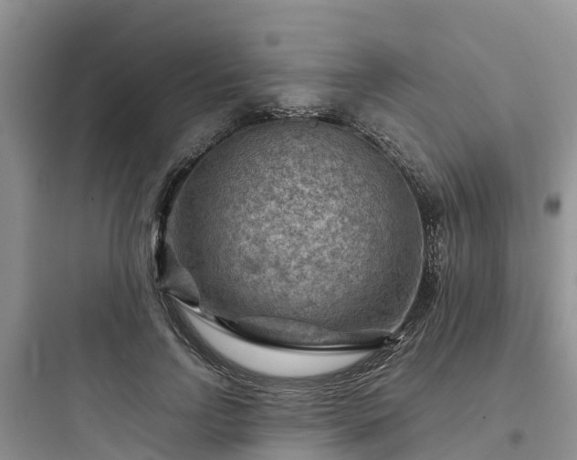 X0000097920742200803211527