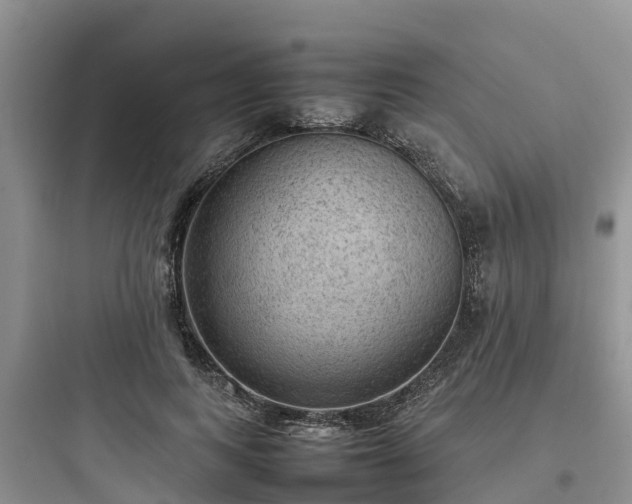 X0000097920743200803211527