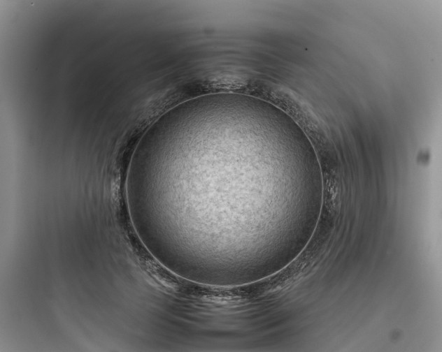 X0000097920745200803211527