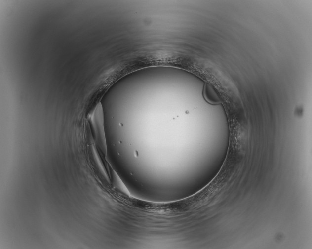 X0000097920746200803211527