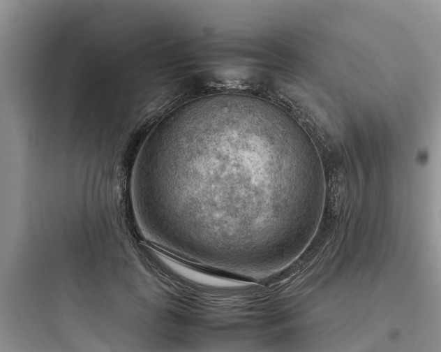 X0000097920747200803211527