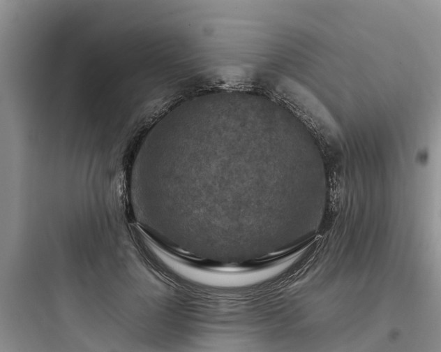 X0000097920748200803211527
