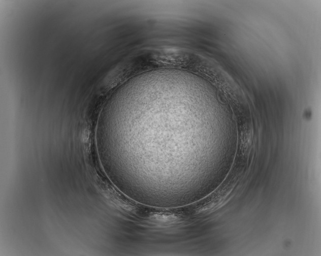 X0000097920749200803211527
