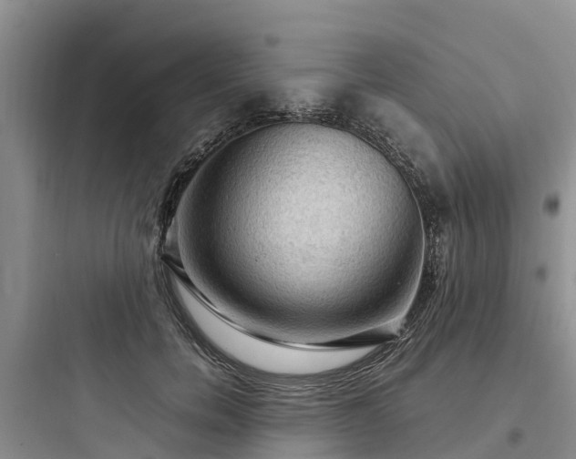 X0000097920750200803211527