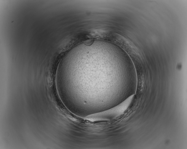 X0000097920751200803211527